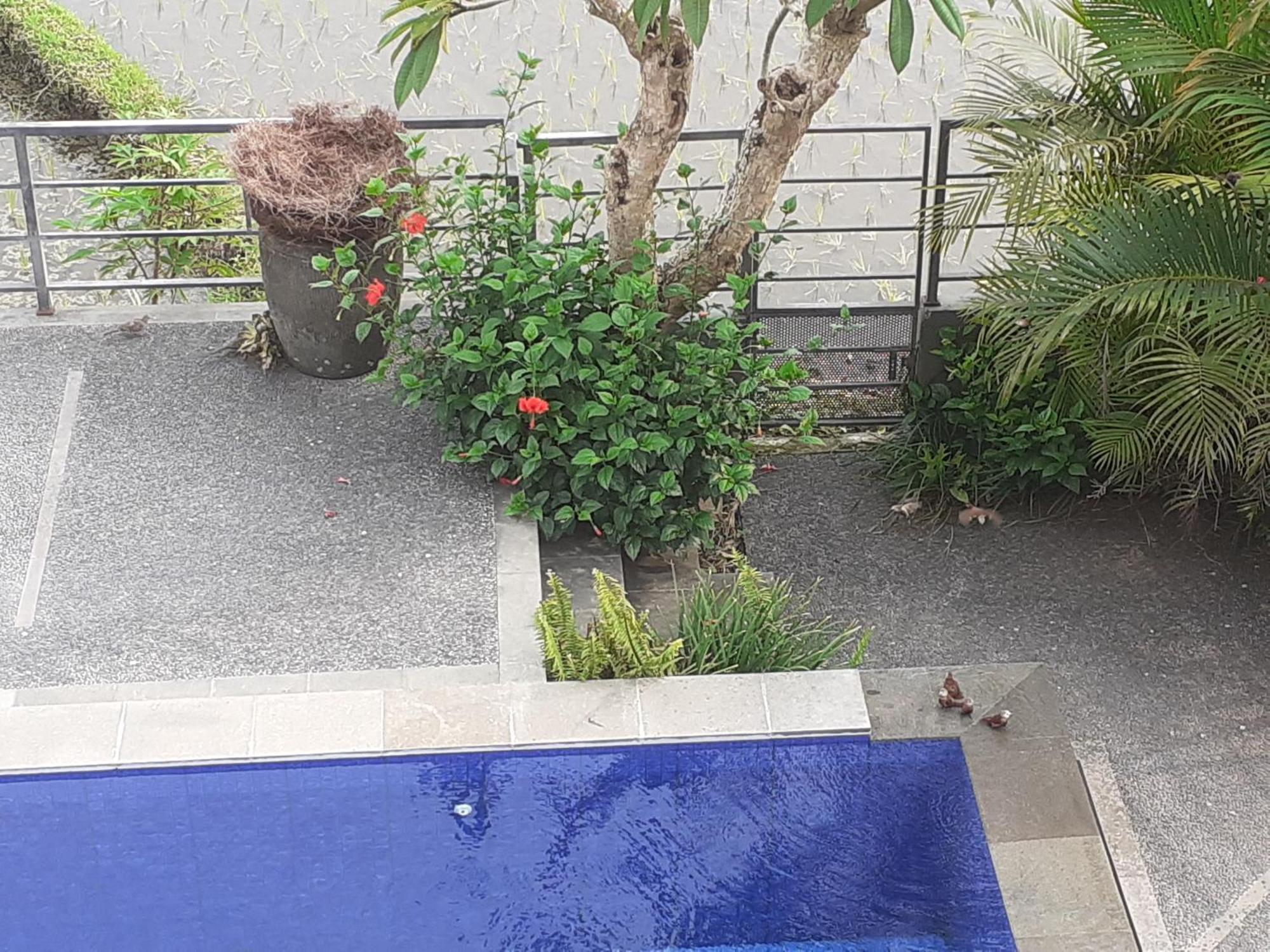 Apartament Griya Bun Sari Sukawati Zewnętrze zdjęcie